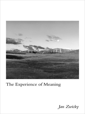 cover image of The Experience of Meaning